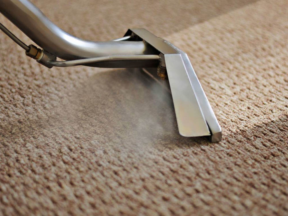 Carpets Clean